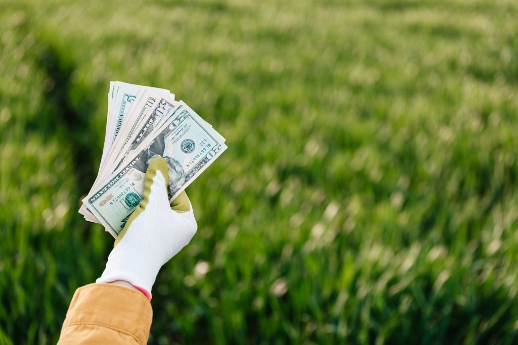 Crop anonymous gardener showing different dollar banknotes on grass background