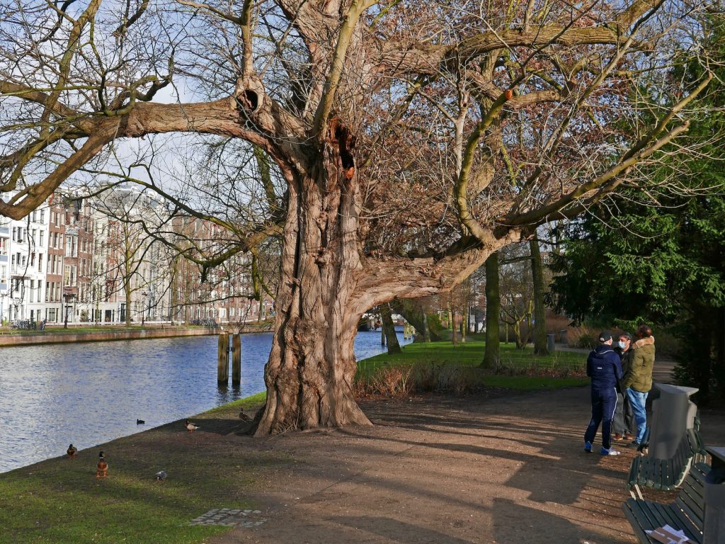 a couple of people standing next to a tree near a body of water