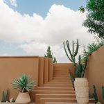 a set of steps leading up to a cactus garden