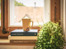 Green Leafed Plant Beside Books and Mug