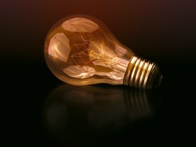 incandescent bulb on black surface